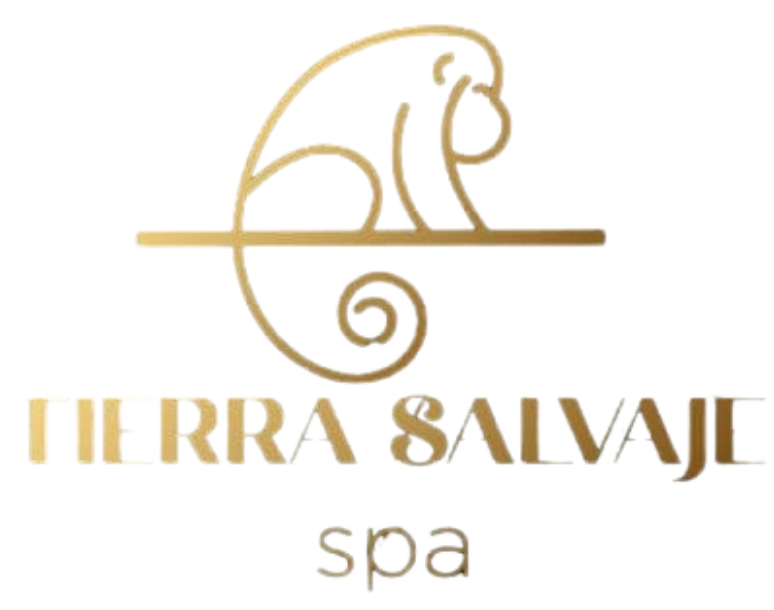 Brown Green Illustrated Summer Party Presentation